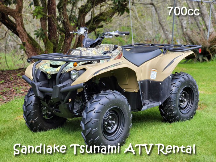 Automatic Large ATV Rental - Sand Lake